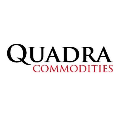 Quadra Commodities измаильский элеватор